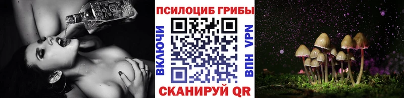 omg рабочий сайт  где можно купить   Арзамас  Галлюциногенные грибы Psilocybine cubensis 